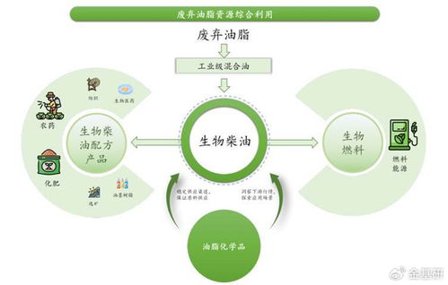 豐倍生物 技術(shù)創(chuàng)新驅(qū)動綠色全產(chǎn)業(yè)鏈，生物柴油市占率領(lǐng)先