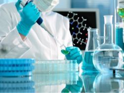 生物技術(shù)開發(fā) 創(chuàng)新驅(qū)動下的未來前景與機(jī)遇