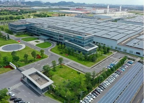 高凈值家庭標(biāo)準(zhǔn)公布 中國211萬戶達(dá)標(biāo)，生物技術(shù)開發(fā)成財(cái)富增長新引擎