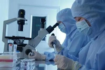 李逵還是李鬼？相似專業名稱辨析 生物技術與生物技術開發，2021年考生必讀