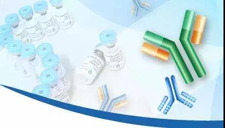 聚焦創(chuàng)新與合作 8月廣州國際生物技術(shù)大會(huì)引領(lǐng)抗體藥產(chǎn)業(yè)新浪潮